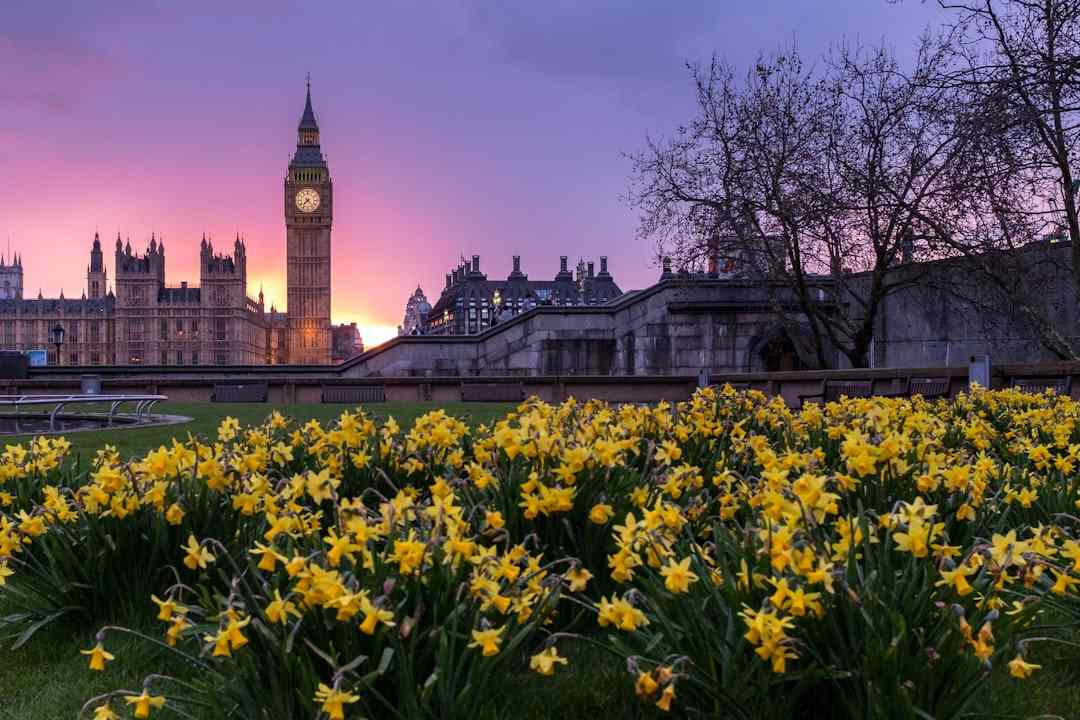 Combien de Temps pour Apprendre l’Anglais en Angleterre ?