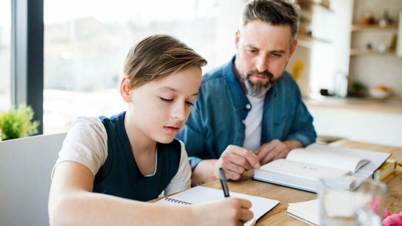 Quel Statut pour Donner des Cours de Soutien Scolaire ?