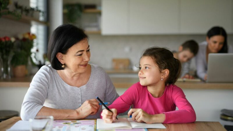 Quel Organisme de Soutien Scolaire pour Donner des Cours ?