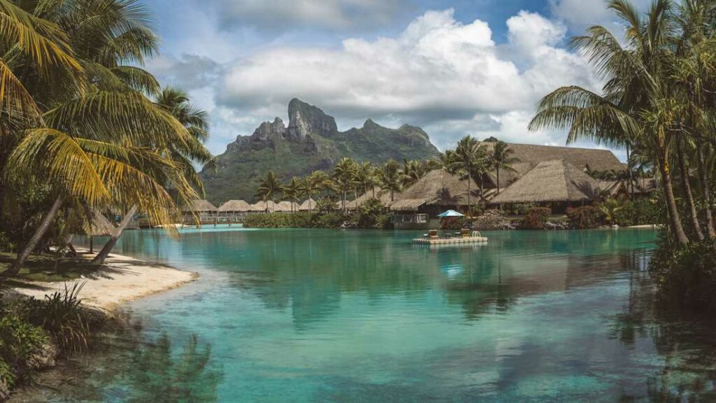 Vue d'une étendue d'eau avec une végétation tropicale.