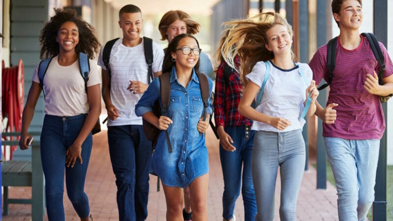 Quelle est la classe la plus difficile au collège ?
