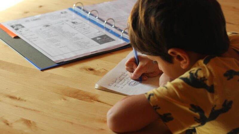 Quelle est la classe la plus difficile en primaire ?