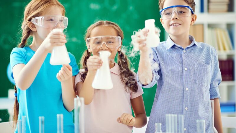 Cours de physique-chimie : en ligne ou à domicile ?