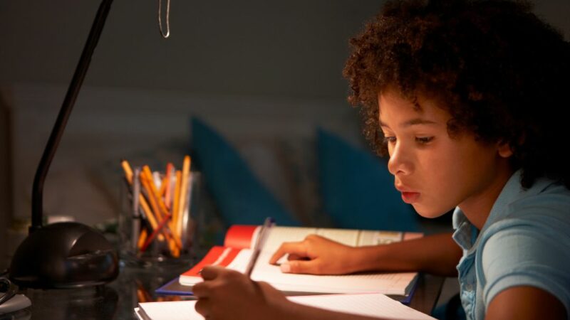 Bac philo 2026 : révisions et sujets probables !